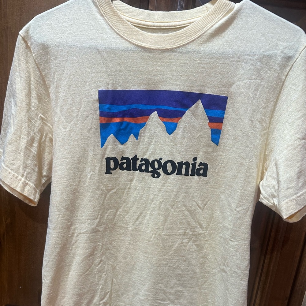 Patagonia Beige Tee with Mountain Design